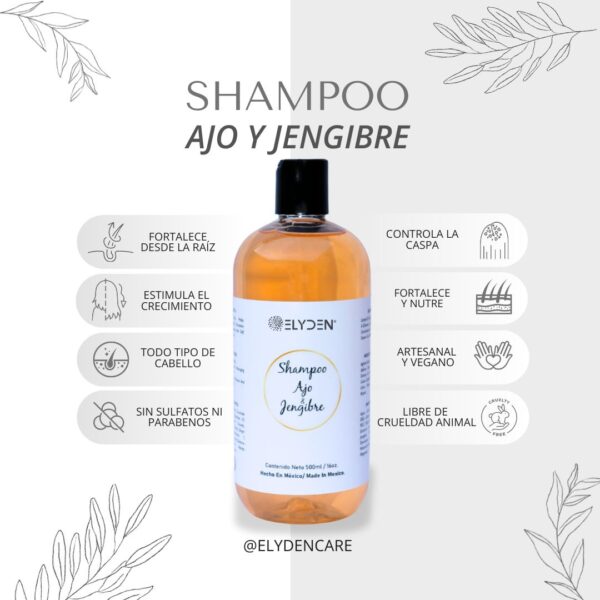 Shampoo de Ajo y Jengibre - Image 2