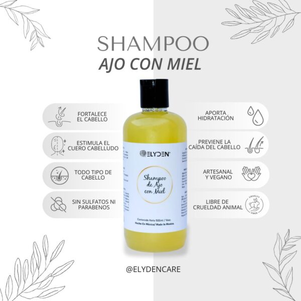 Shampoo de Ajo y Miel - Image 2